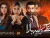 Tinkay Ka Sahara – Last Episode [𝐂𝐂] – ( Sonya Hussain – Sami Khan ) 3rd  April 23 – HUM TV