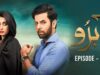 Abru – Episode 18 – ( Eshal Fayyaz & Noor Hassan Rizvi ) – HUM TV