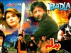 BADLA (1987) – NADEEM, SUSHMA SHAHI, SHIVA, NAZAAN SANCHI – OFFICIAL PAKISTANI MOVIE