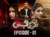 Ek Thi Rabi | Episode 01 | Hina Chaudhary – Rizwan Ali Jaffri | MUN TV