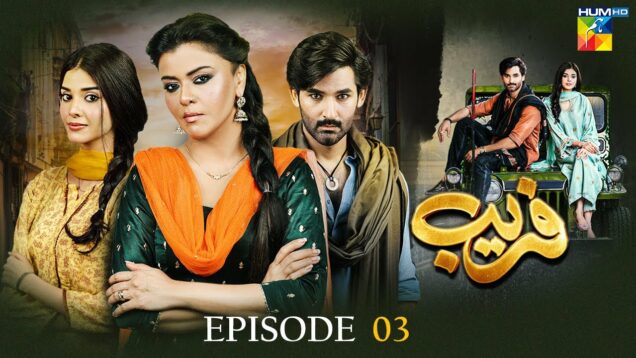 Fareb – Episode 03 – 21st May 2023 – [ Zain Baig, Zainab Shabbir , Maria Wasti ] HUM TV