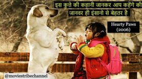 Hearty Paws (2006) Movie Explain Hindi/Urdu | For the people who wonder why people love dogs| हिन्दी