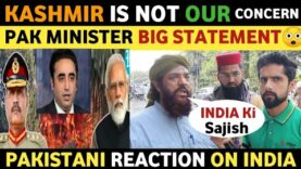 KASHMIR IS NOT OUR CONCERN ONLY | PAK MINISTER BIG STATEMENT | PAKISTANI REACTION ON INDIA REAL TV