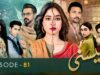 Meesni – Episode 81 – ( Bilal Qureshi, Mamia, Faiza Gilani ) 11th May 2023 – HUM TV