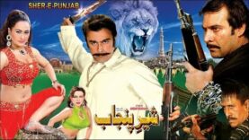 SHER-E-PUNJAB (2004) – SHAAN, NARGIS, MAUMAR RANA & SAIMA KHAN – OFFICIAL PAKISTANI MOVIE