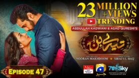 Tere Bin Ep 47 – [Eng Sub] – Digitally Presented by Nisa Hair Removal Cream- Yumna Zaidi – Wahaj Ali