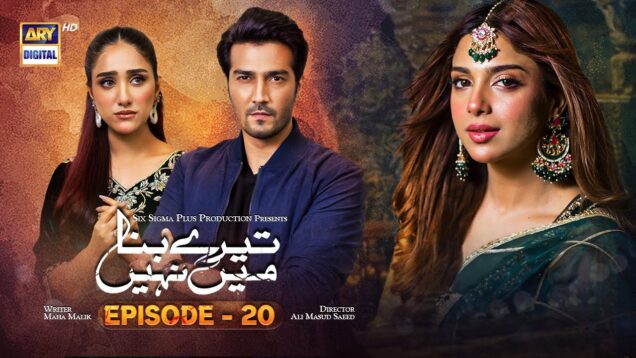 Tere Bina Mein Nahi Episode 20 | 9th May 2023 (English Subtitles) ARY Digital