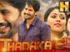 Thadaka 2(HD)- नागा चैतन्य और अनु इम्मानुएल की सुपरहिट एक्शन रोमांटिक फिल्म|Naga Chaitanya Hit Movie