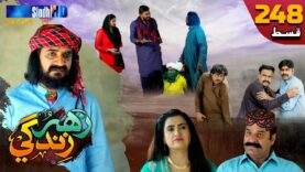 Zahar Zindagi – Ep 248 | Sindh TV Soap Serial | SindhTVHD Drama