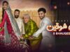 3 Shauqeen – Muneeb Butt & Ramsha Khan – Telefilm @HUMTV 📺