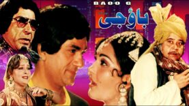 BAO JI (1983) – ALI EJAZ, MUMTAZ, NANHA, NAZLI, RANGEELA & HUMAYUN QURESHI – OFFIAL PAKISTANI MOVIE