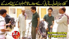 Butcher booking is a big problem Saleem Albela and Goga Pasroori in Action