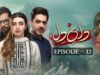 Dagh e Dil – Episode 12 – Asad Siddiqui, Nawal Saeed, Goher Mumtaz, Navin Waqar 06 June 23 – HUM TV