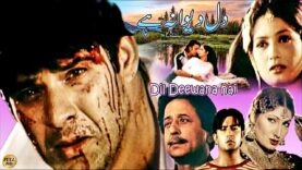 DIL DEEWANA HAI (2001) – MOAMAR RANA, JIA ALI, NADEEM, BABAR ALI – OFFICIAL PAKISTANI MOVIE