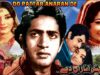 DO PATTAR ANARAN DE (PUNJABI) HABIB, ROZINA, EJAZ, ALIYA, MUNAWAR ZARIF – FULL PAKISTANI MOVIE