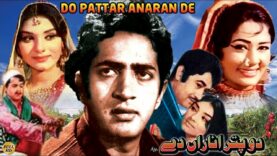 DO PATTAR ANARAN DE (PUNJABI) HABIB, ROZINA, EJAZ, ALIYA, MUNAWAR ZARIF – FULL PAKISTANI MOVIE