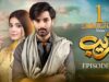 Fareb – Episode 05 – 4th June 2023 – [ Zain Baig, Zainab Shabbir , Maria Wasti ] HUM TV