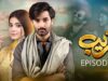 Fareb – Episode 07 – 18th June 2023 – [ Zain Baig, Zainab Shabbir , Maria Wasti ] HUM TV