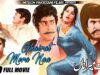 GHAIRAT MERA NAA B/W – SULTAN RAHI, YOUSAF KHAN & FIRDOUS – Hi-Tech Pakistani Films