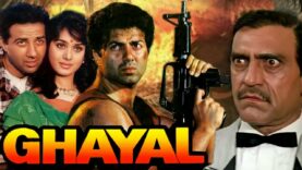 Ghayal Full Movie In Hindi | Sunny Deol, Om Puri, Amrish Puri | 2023 Full Bollywood Movie 2023