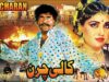 KALI CHARAN (1990) – SULTAN RAHI & ANJUMAN – OFFICIAL PAKISTANI MOVIE