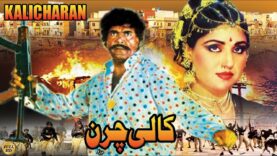 KALI CHARAN (1990) – SULTAN RAHI & ANJUMAN – OFFICIAL PAKISTANI MOVIE