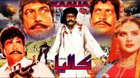 KALIA (1984) – SULTAN RAHI, MUMTAZ, MUSTAFA QURESHI, NAZLI – OFFICIAL PAKISTANI MOVIE