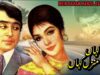 MAIN KAHAN MANZIL KAHAN (CLASSIC) – NADEEM, EJAZ, ZAMARRUD, ALLAUDIN – FULL PAKISTANI MOVIE