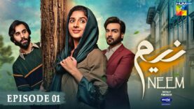 Neem Episode 01 – Mawra Hussain | Arslan Naseer | Ameer Gilani | Digitally Powered By Master Paints