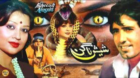 SHEESH NAGIN (1988) – JAVED SHEIKH, SHABNAM & RANGEELA – OFFICIAL PAKISTANI MOVIE