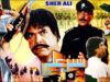 SHER ALI (1992) – SULTAN RAHI, SAIMA, NEELI & JAVED SHEIKH – OFFICIAL PAKISTANI MOVIE