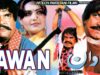 TAAWAN – Sultan Rahi, Mumtaz, Mustafa Qureshi, Iqbal Hassan, Shahida Mini