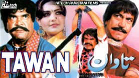 TAAWAN – Sultan Rahi, Mumtaz, Mustafa Qureshi, Iqbal Hassan, Shahida Mini