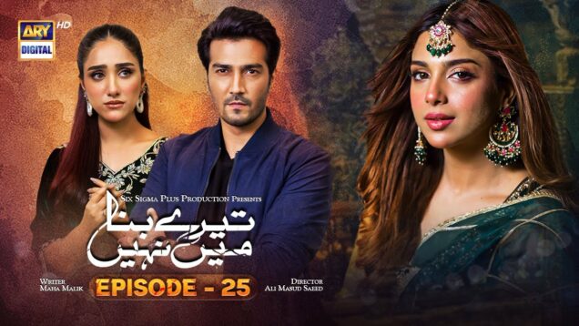 Tere Bina Mein Nahi Episode 25 | 13th June 2023 (English Subtitles) | ARY Digital