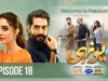 Yunhi – Ep 18 [𝐂𝐂] – 11th June 2023 – Presented By Lux, Master Paints, Secret Beauty Cream – HUM TV