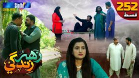 Zahar Zindagi – Ep 252 | Sindh TV Soap Serial | SindhTVHD Drama