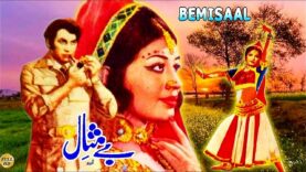 BE- MISAAL – MOHAMMAD ALI, SHABNAM, NANHA, ALLAUDIN – OFFICIAL PAKISTANI MOVIE