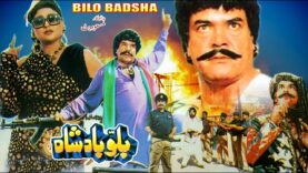 BILLU BADSHAH (1991) – SULTAN RAHI & ANJUMAN – OFFICIAL PAKISTANI MOVIE