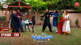 Bulbulay Season 2 Episode 209 | Eid Day 1 Special | 29th June 2023 | ARY Digital