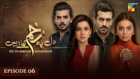 Dil Pe Zakham Khaye Hain – Episode 06 [ Tuba Anwar & Shahzad Noor ] – 10th July 2023 – HUM TV