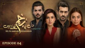 Dil Pe Zakham Khaye Hain – Episode 04 [ Tuba Anwar & Shahzad Noor ] – 8th July 2023 – HUM TV