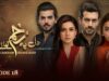 Dil Pe Zakham Khaye Hain – Episode 18 – [ Tuba Anwar & Shahzad Noor ] – 22nd July 2023 – HUM TV