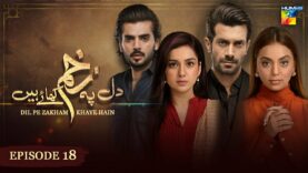 Dil Pe Zakham Khaye Hain – Episode 18 – [ Tuba Anwar & Shahzad Noor ] – 22nd July 2023 – HUM TV