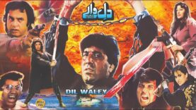 DIL WALAY (1997) – SAIMA, JAVID SHEIKH, RAMBO & NARGIS – OFFICIAL PAKISTANI MOVIE