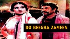 DO BEEGHA ZAMEEN (1982) – SULTAN RAHI, ANJUMAN,MUMTAZ & MUSTAFA QURESHI – OFFICIAL PAKISTANI MOVIE