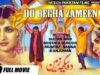 DO BEGHA ZAMEEN – SULTAN RAHI, ANJUMAN & MUSTAFA QURESHI – Hi-Tech Pakistani Films