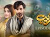 Fareb – Episode 13 – 30th July 2023 – [ Zain Baig, Zainab Shabbir , Maria Wasti ] HUM TV