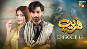 Fareb – Episode 13 – 30th July 2023 – [ Zain Baig, Zainab Shabbir , Maria Wasti ] HUM TV