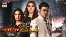 Hook 2nd Last Episode | 12th July 2023 (English Subtitles) | ARY Digital Drama