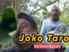 JOKO TAROP || EPS 88